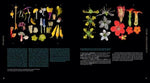 Load image into Gallery viewer, Atlas of Flowering Plants - WildFlower Media
