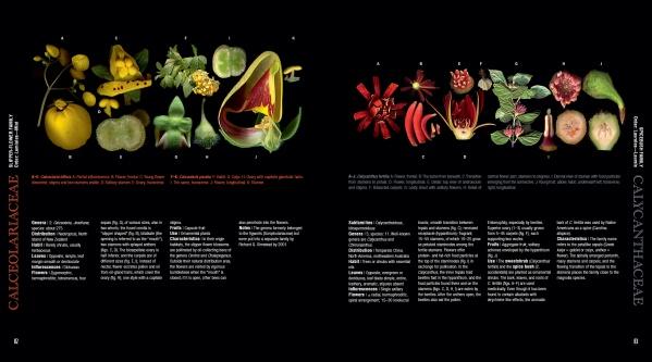 Atlas of Flowering Plants - WildFlower Media