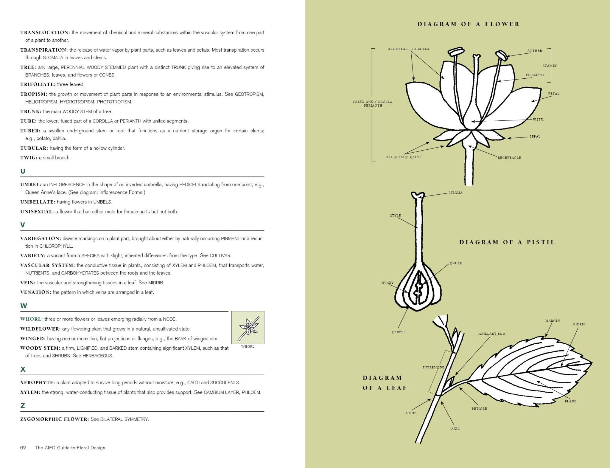 The AIFD Guide to Floral Design - WildFlower Media