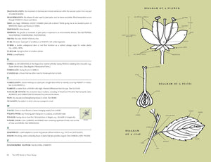 The AIFD Guide to Floral Design - WildFlower Media
