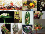 Load image into Gallery viewer, Artistic Floral Design 2020: Innovative Work from the American Institute of Floral Designers - WildFlower Media