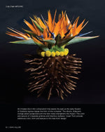 Load image into Gallery viewer, Asian Allure - WildFlower Media