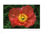 Load image into Gallery viewer, The Art of Flower Photography - WildFlower Media
