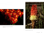 Load image into Gallery viewer, The Art of Flower Photography - WildFlower Media
