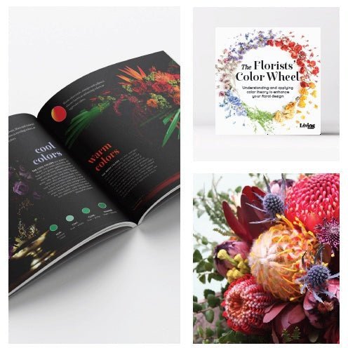 Florists' Color Wheel: A Guide to Floral Design Color Theory – WildFlower  Media